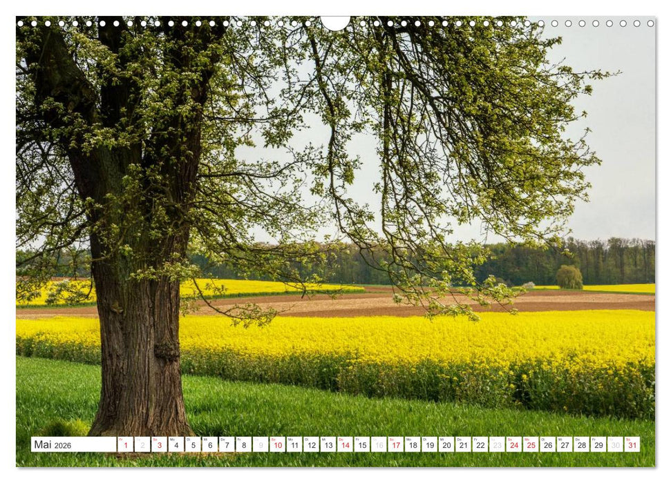 Die Wetterau - Landschaft und Kultur (CALVENDO Wandkalender 2026)