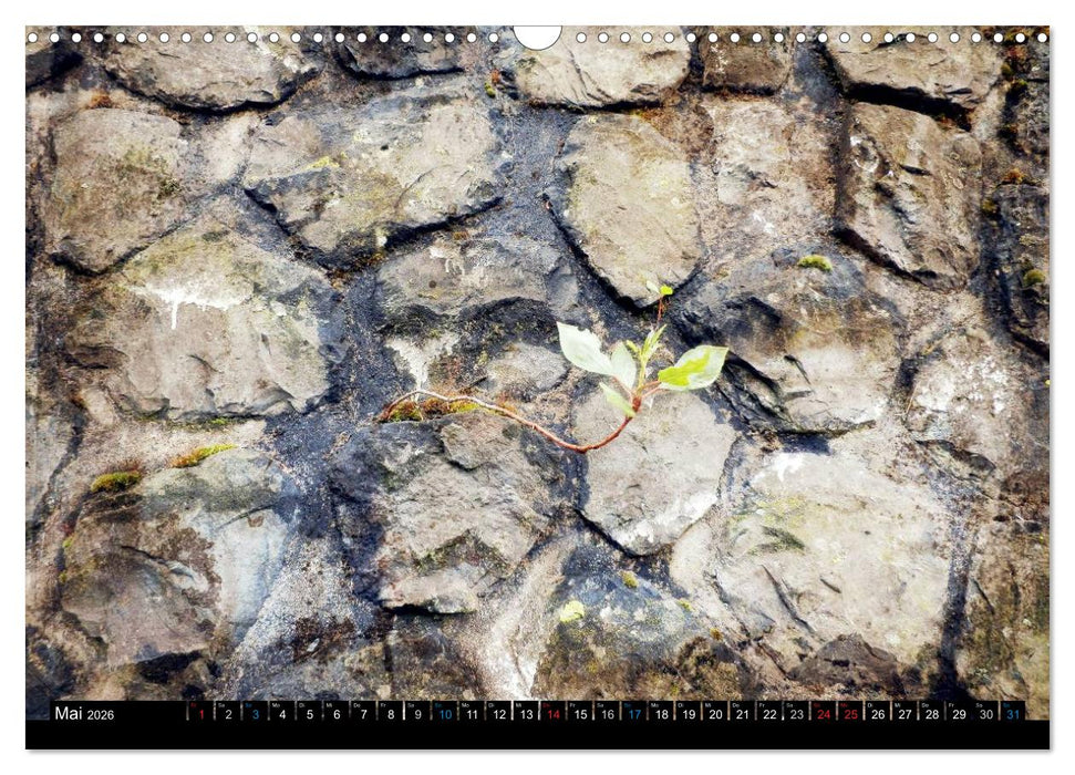 Mitten im RuhrPott (CALVENDO Wandkalender 2026)