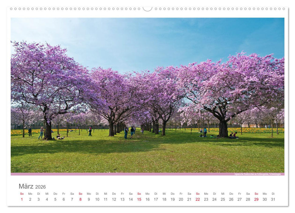 Der Neckar - Unterwegs in Deutschland (CALVENDO Premium Wandkalender 2026)