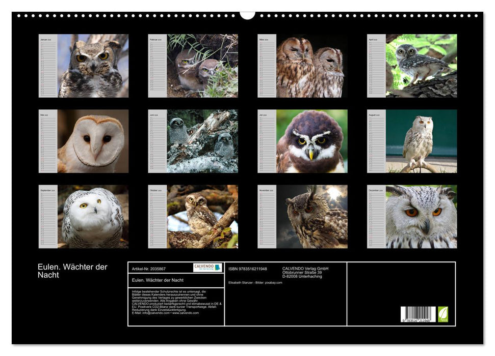 Eulen. Wächter der Nacht (CALVENDO Wandkalender 2026)