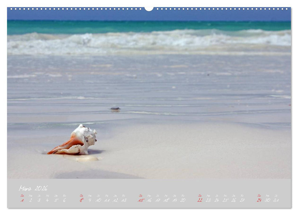 Auf nach Sansibar (CALVENDO Wandkalender 2026)