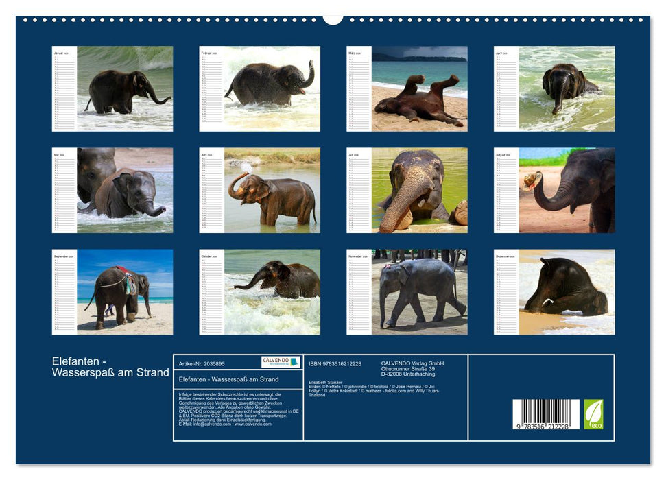Elefanten - Wasserspaß am Strand (CALVENDO Premium Wandkalender 2026)