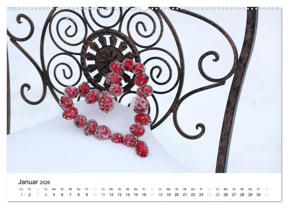 Mein Jahr im Landhausgarten (CALVENDO Premium Wandkalender 2026)