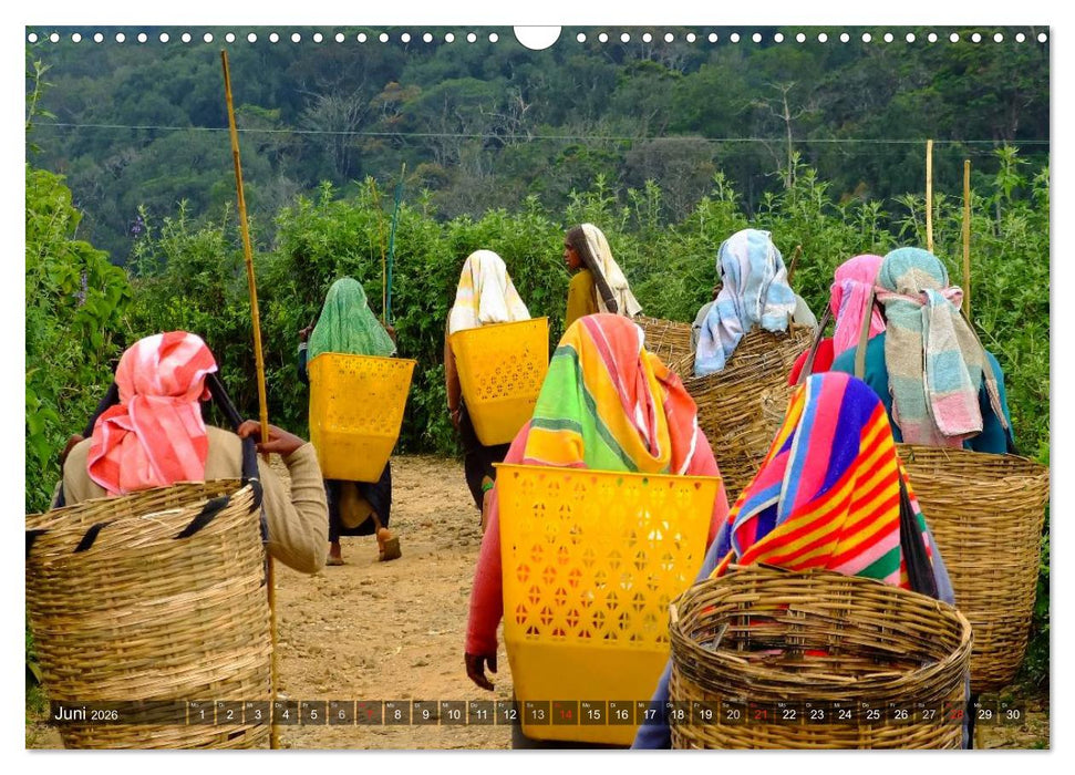 Sri Lanka - Eine Bilder-Reise (CALVENDO Wandkalender 2026)