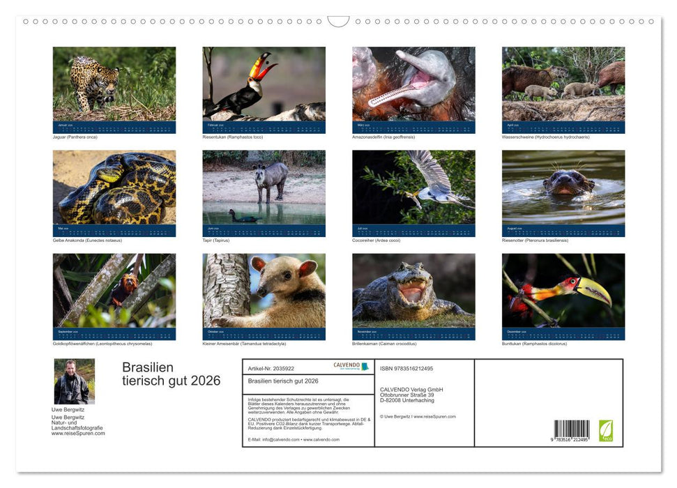 Brasilien tierisch gut 2026 (CALVENDO Wandkalender 2026)