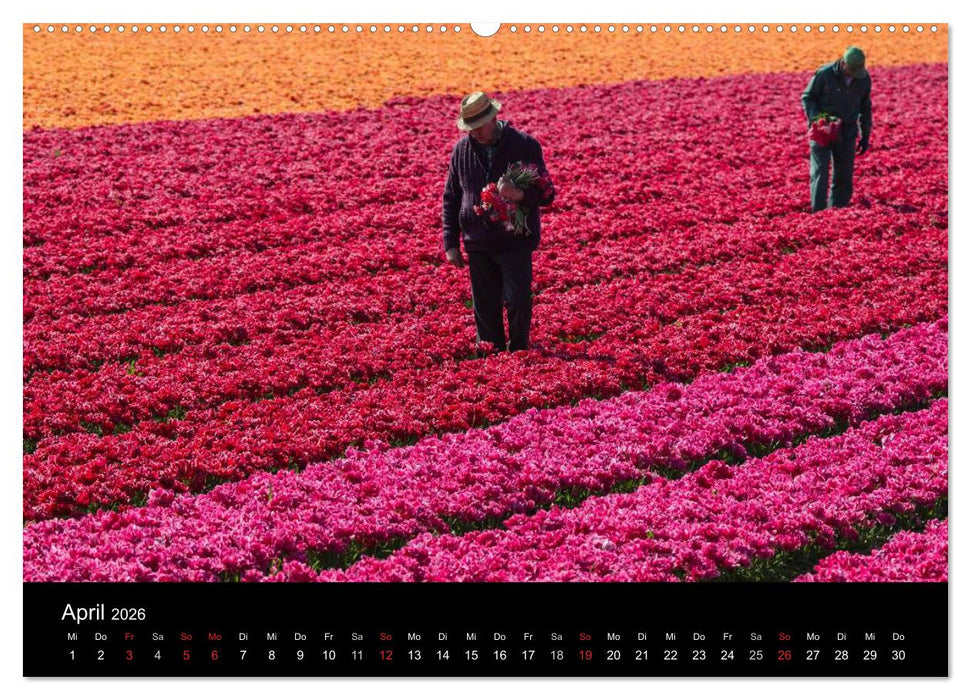 Ein fotografischer Streifzug durch Holland (CALVENDO Premium Wandkalender 2026)