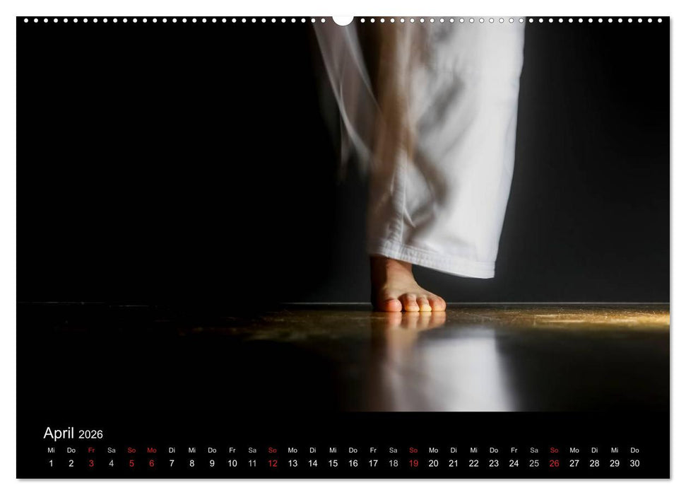Kampfsport (CALVENDO Premium Wandkalender 2026)