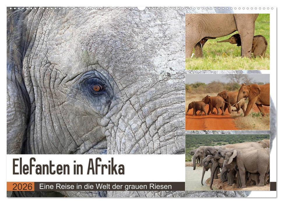 Elefanten in Afrika (CALVENDO Wandkalender 2026)