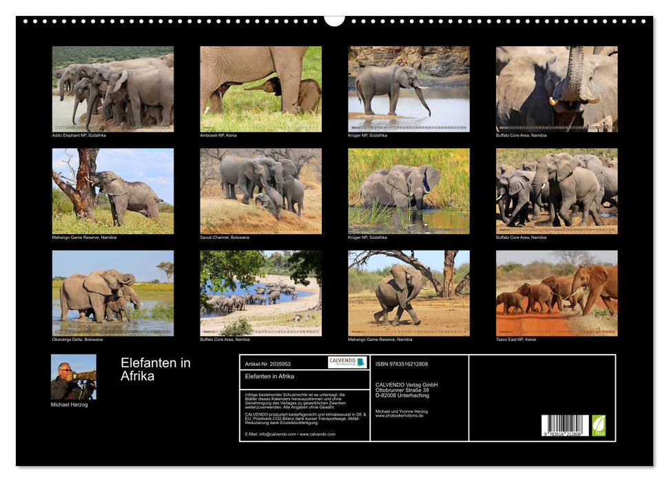 Elefanten in Afrika (CALVENDO Wandkalender 2026)