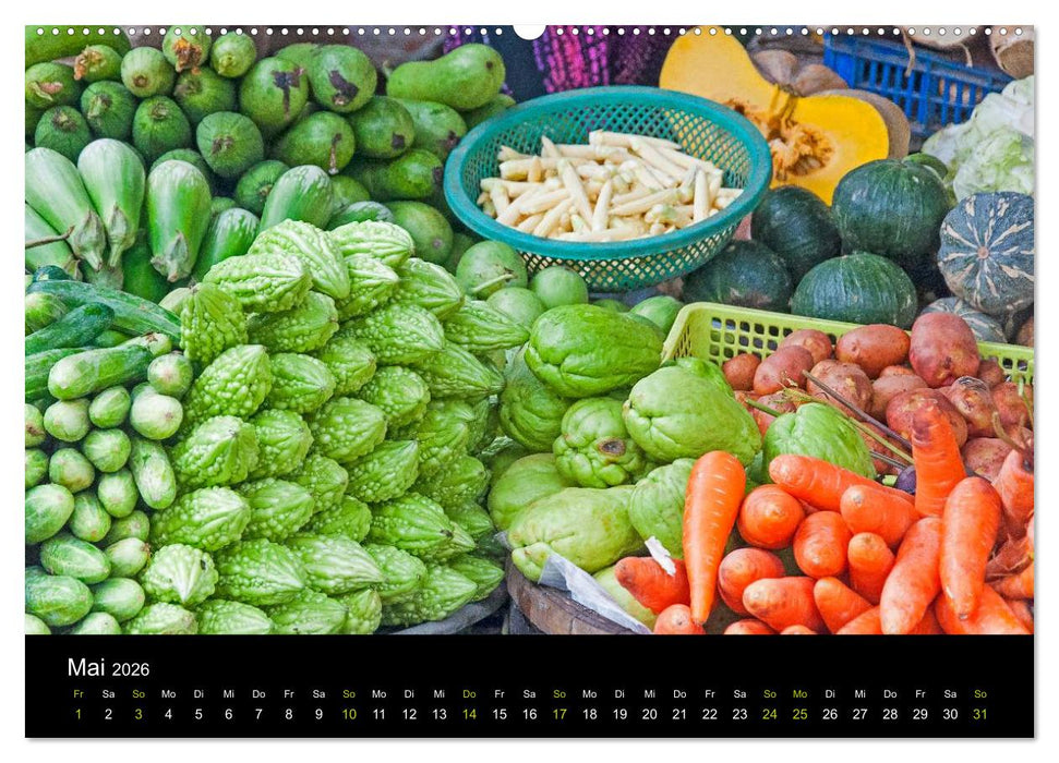 Das Mekong-Delta (CALVENDO Wandkalender 2026)