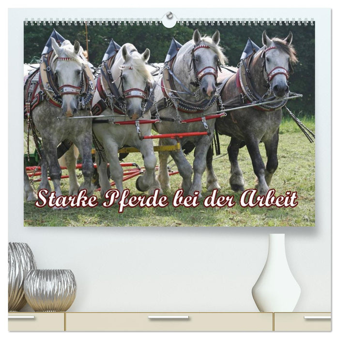Starke Pferde bei der Arbeit (CALVENDO Premium Wandkalender 2026)