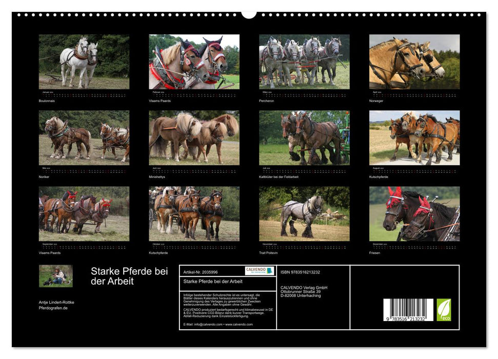 Starke Pferde bei der Arbeit (CALVENDO Premium Wandkalender 2026)