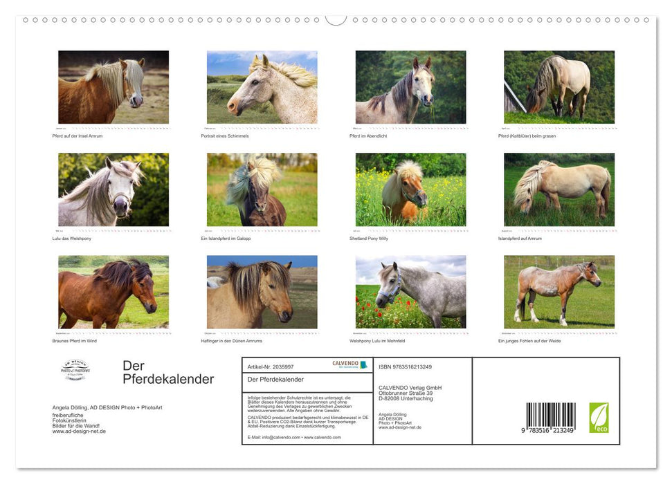 Der Pferdekalender (CALVENDO Premium Wandkalender 2026)
