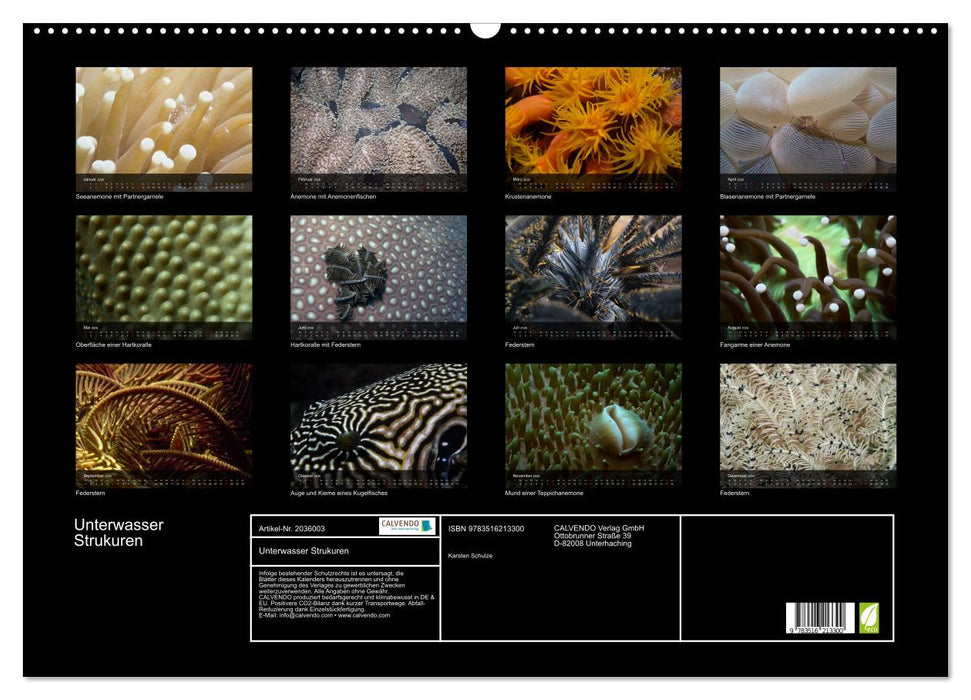 Unterwasser Strukuren (CALVENDO Wandkalender 2026)