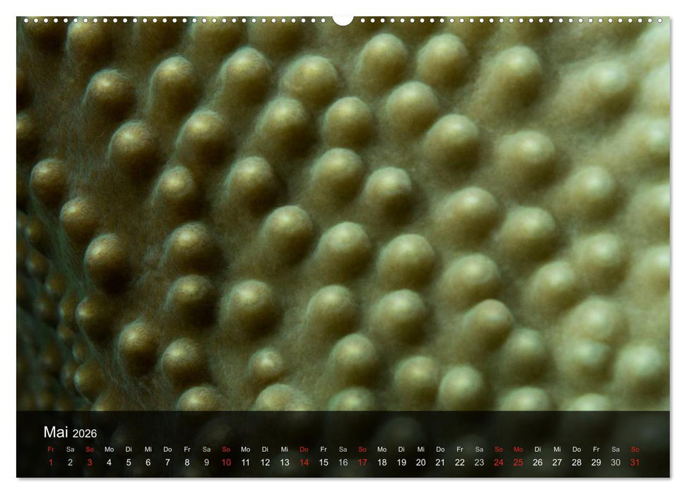 Unterwasser Strukuren (CALVENDO Wandkalender 2026)