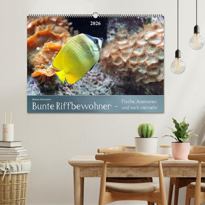 Bunte Riffbewohner - Fische, Anemonen und noch viel mehr (CALVENDO Wandkalender 2026)