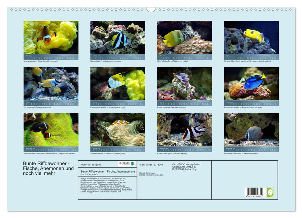 Bunte Riffbewohner - Fische, Anemonen und noch viel mehr (CALVENDO Wandkalender 2026)
