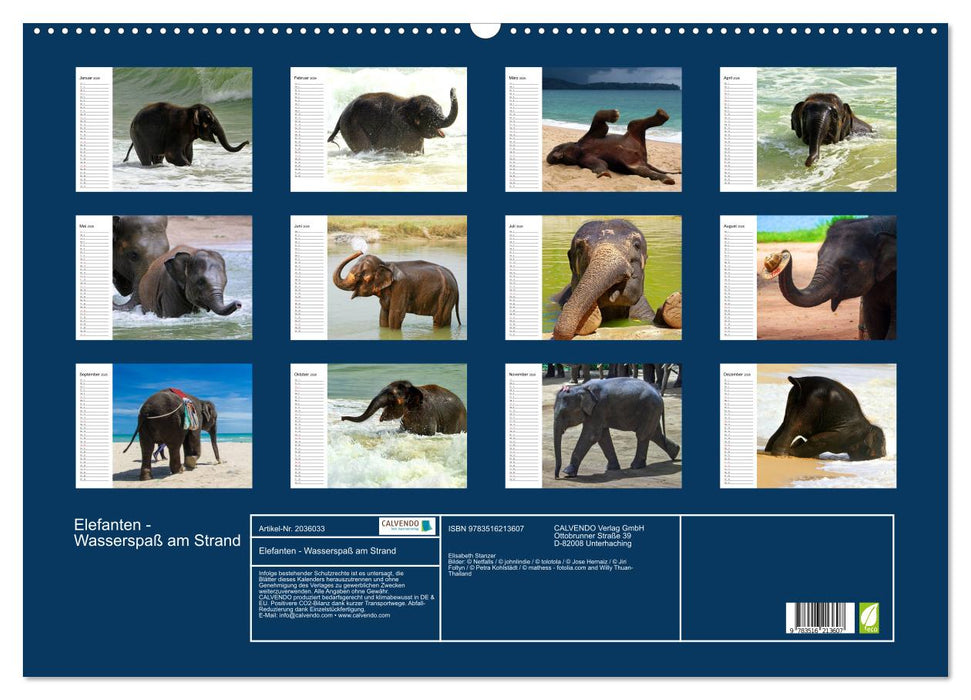 Elefanten - Wasserspaß am Strand (CALVENDO Wandkalender 2026)