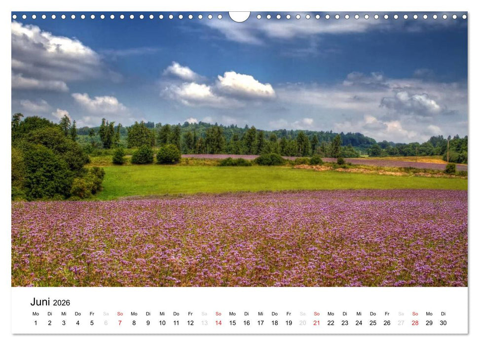 Bad Ems (CALVENDO Wandkalender 2026)