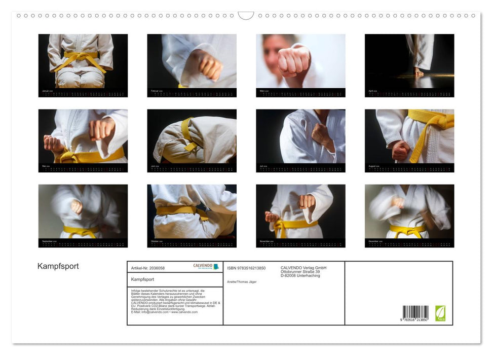 Kampfsport (CALVENDO Wandkalender 2026)