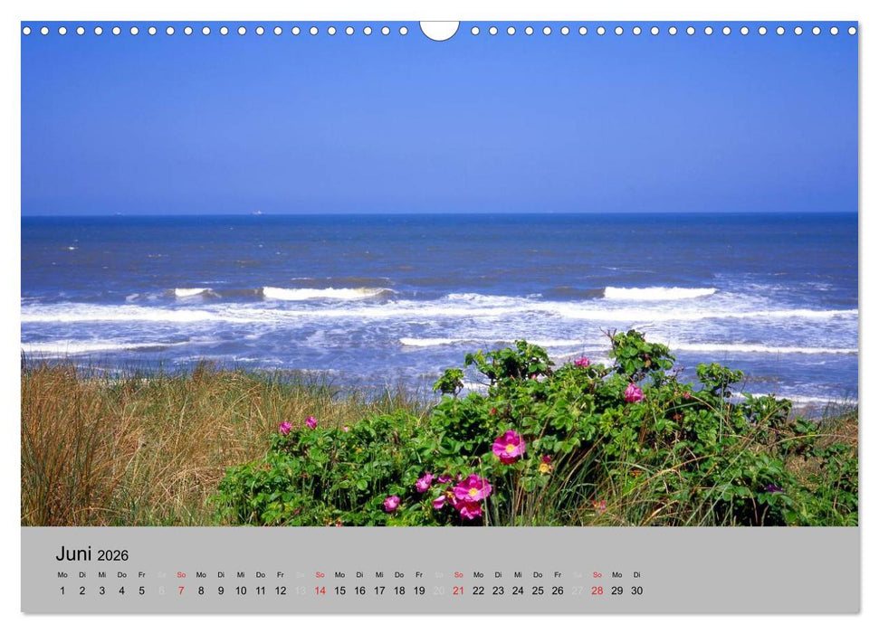 Ostfriesland an der Nordseeküste (CALVENDO Wandkalender 2026)