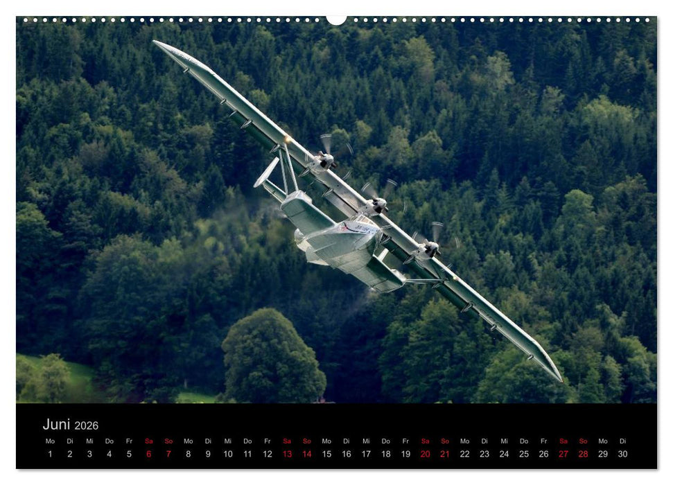 DO-24 ATT (CALVENDO Premium Wandkalender 2026)