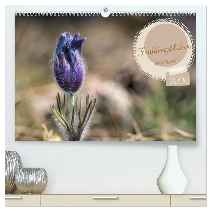 Frühlingsblüher - Farbenpracht nach dem Winter (CALVENDO Premium Wandkalender 2026)