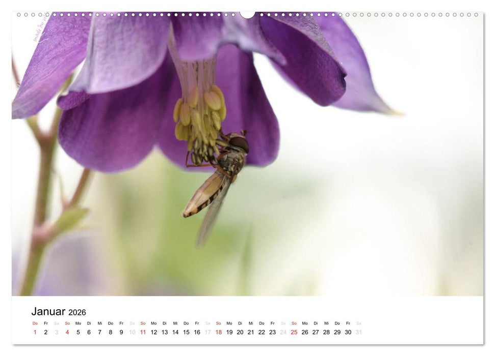 Zarte Natur 2026 (CALVENDO Wandkalender 2026)