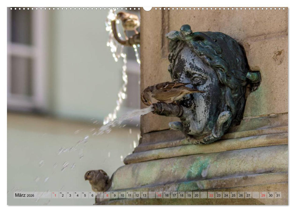 Augsburger Wasser (CALVENDO Premium Wandkalender 2026)