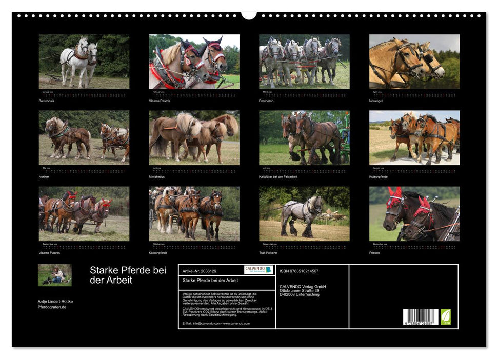 Starke Pferde bei der Arbeit (CALVENDO Wandkalender 2026)