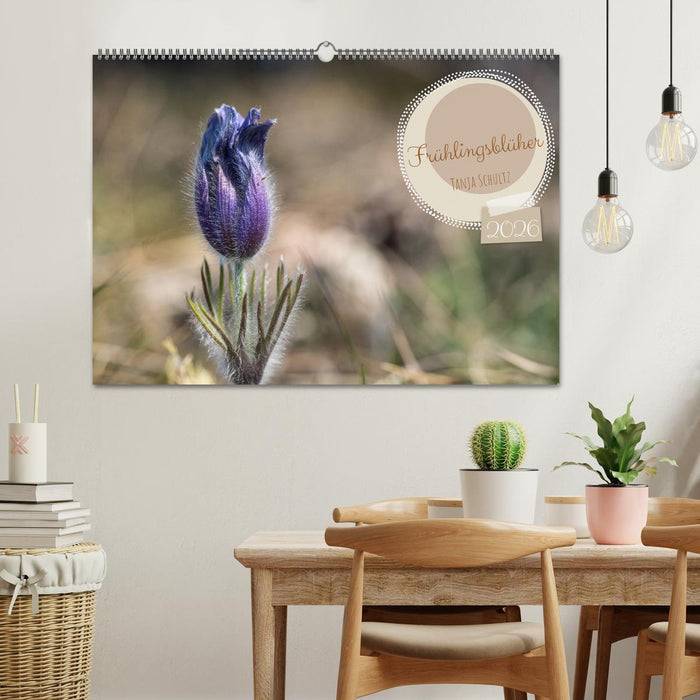 Frühlingsblüher - Farbenpracht nach dem Winter (CALVENDO Wandkalender 2026)