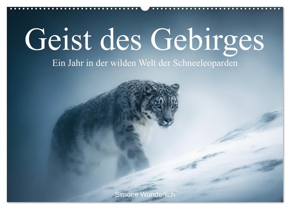 Geist des Gebirges - Ein Jahr in der wilden Welt der Schneeleoparden (CALVENDO Wandkalender 2026)