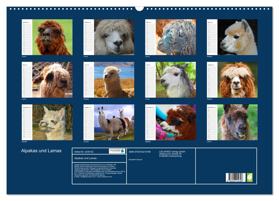 Alpakas und Lamas (CALVENDO Wandkalender 2026)