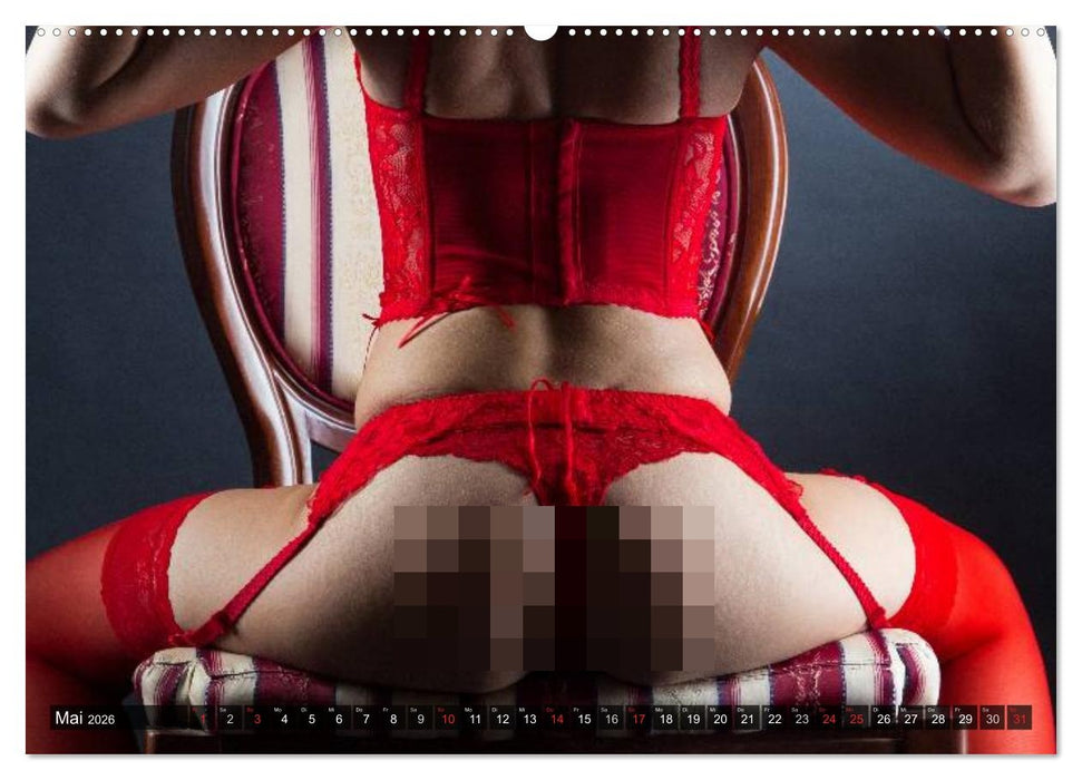 Erotik. Dessous-Fantasien (CALVENDO Wandkalender 2026)