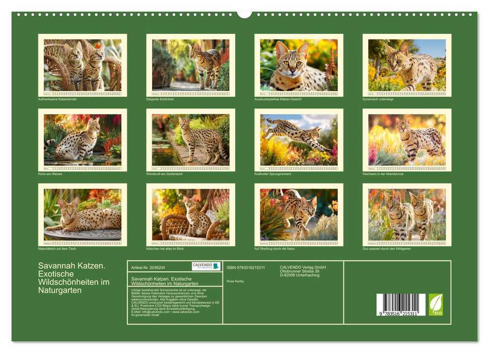 Savannah Katzen. Exotische Wildschönheiten im Naturgarten (CALVENDO Premium Wandkalender 2026)