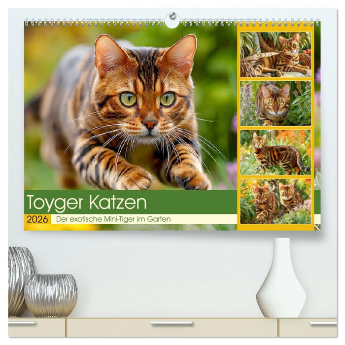 Toyger Katzen. Der exotische Mini-Tiger im Garten (CALVENDO Premium Wandkalender 2026)
