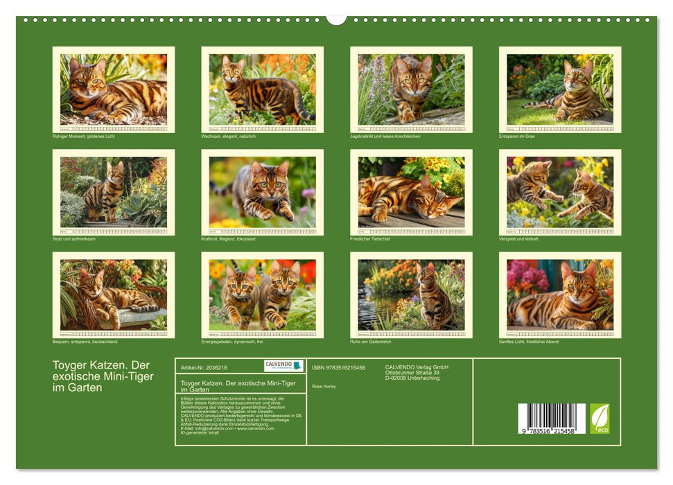 Toyger Katzen. Der exotische Mini-Tiger im Garten (CALVENDO Premium Wandkalender 2026)