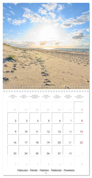 Journey to Germany (CALVENDO Monthly Calendar 2026)