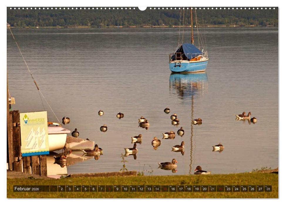 Seestärke - Der Ammersee (CALVENDO Premium Wandkalender 2026)