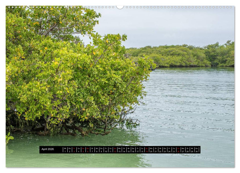Galapagos- Landschaften (CALVENDO Premium Wandkalender 2026)