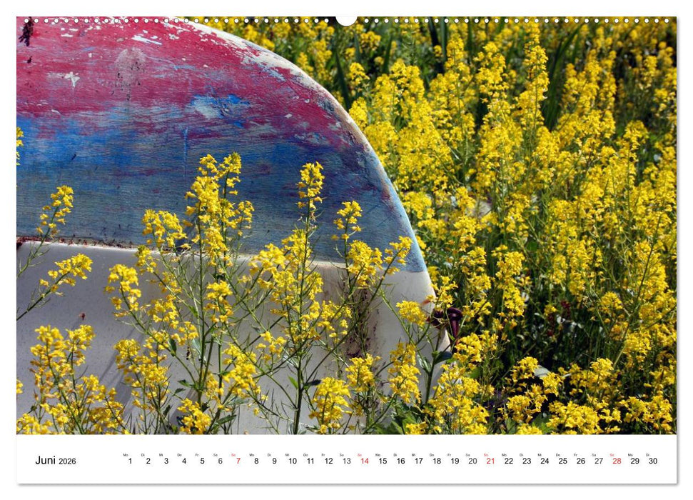 Bootsansichten (CALVENDO Premium Wandkalender 2026)