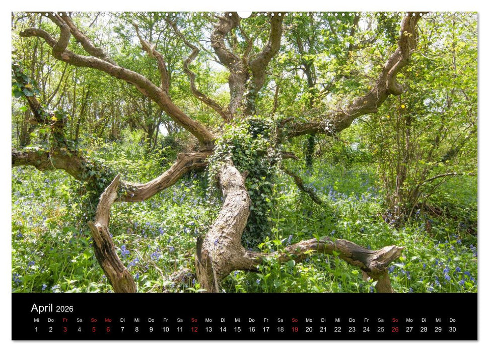 Unterwegs auf der Isle of Wight (CALVENDO Wandkalender 2026)