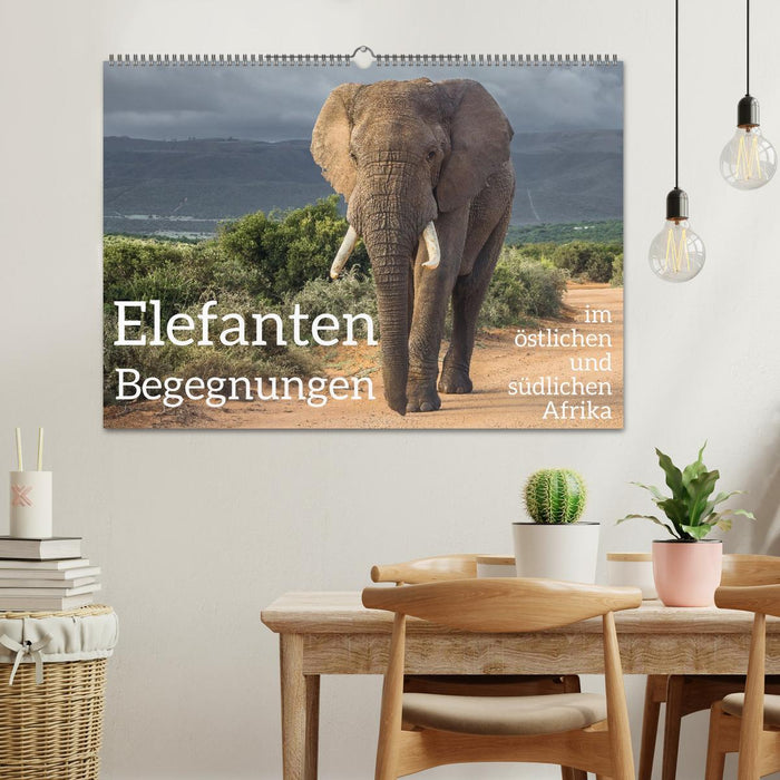Elefanten Begegnungen im östlichen und südlichen Afrika (CALVENDO Wandkalender 2026)