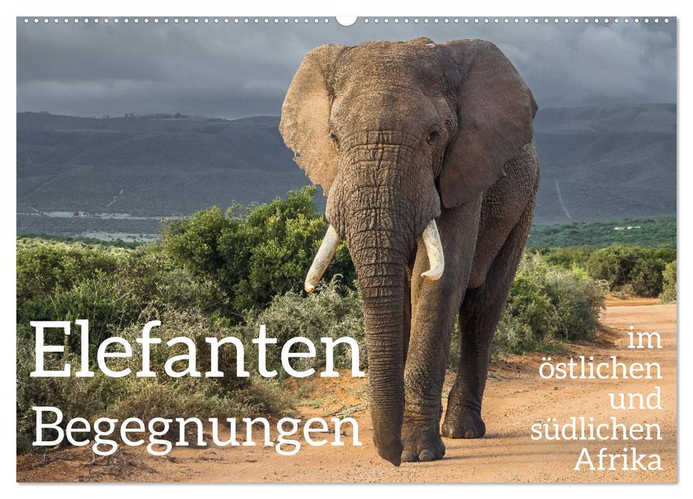 Elefanten Begegnungen im östlichen und südlichen Afrika (CALVENDO Wandkalender 2026)