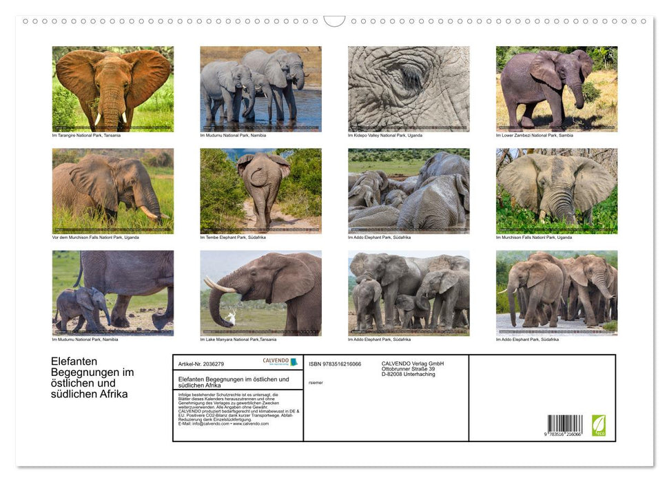 Elefanten Begegnungen im östlichen und südlichen Afrika (CALVENDO Wandkalender 2026)