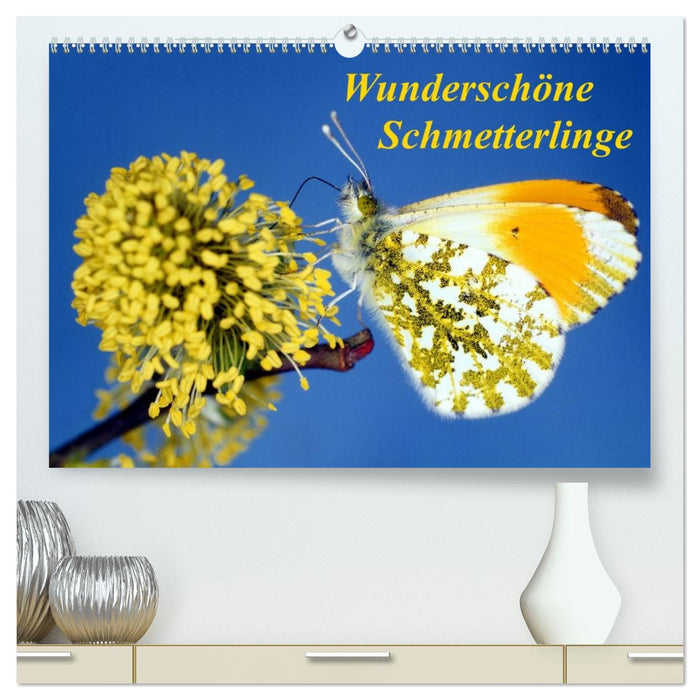 Wunderschöne Schmetterlinge (CALVENDO Premium Wandkalender 2026)