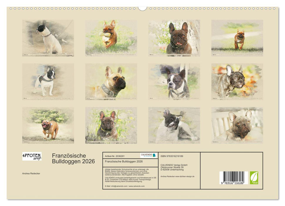 Französische Bulldoggen 2026 (CALVENDO Premium Wandkalender 2026)