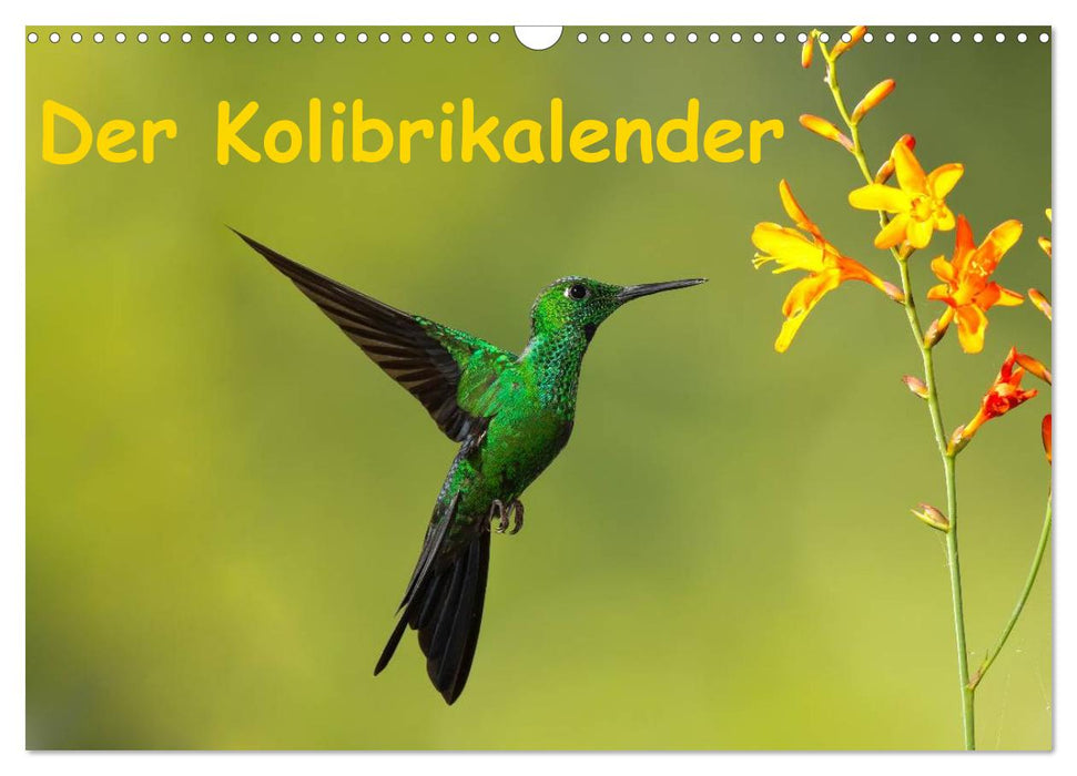 Der Kolibrikalender (CALVENDO Wandkalender 2026)