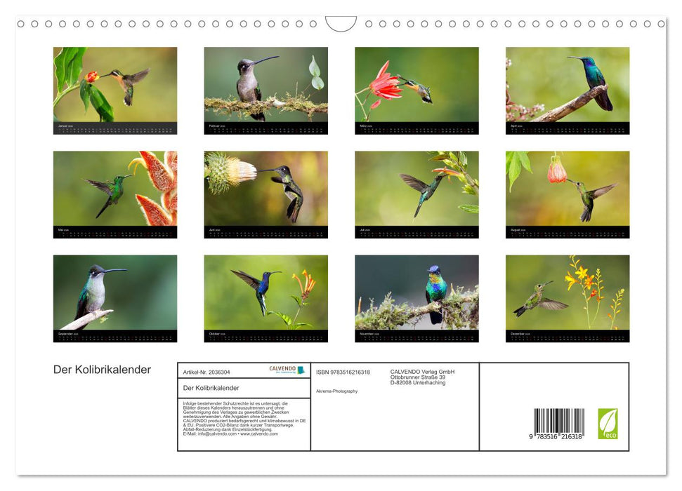 Der Kolibrikalender (CALVENDO Wandkalender 2026)