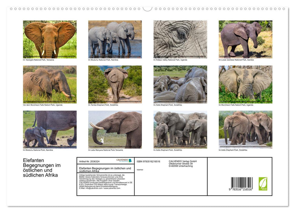Elefanten Begegnungen im östlichen und südlichen Afrika (CALVENDO Premium Wandkalender 2026)